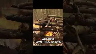 The 'Log Cabin' Campfire #camping #survival #bushcraft #fire #shorts