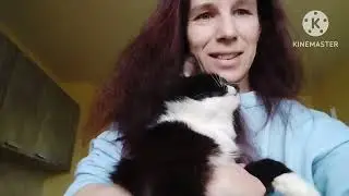 Кот 🐱 съел Розу.