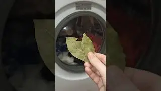 Добавь Лавровый лист при стирке 