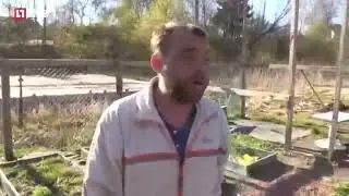 Вообще похую