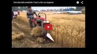 😁Приколы.Сельское  хозяйство Китая. Приколы 2018. Лучшие приколы 2018. Свежие приколы 2018.