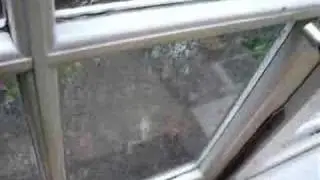 Rain Storm in Bristol