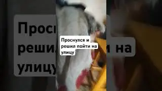 Я проснулся 7 серия