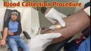 Vacutainer blood collection procedure | Blood collection procedure | Blood collection kaise kare