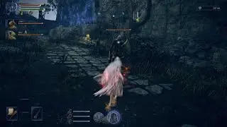 Tricephalos Boss Fight Recluse