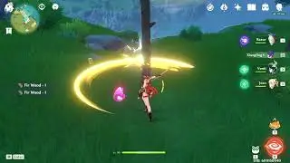 Best Fir Wood Farming Routes ( Genshin Impact )
