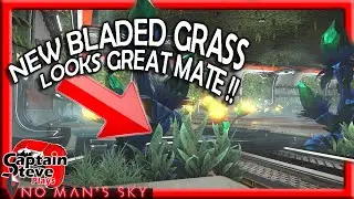 No Man's Sky New Quicksilver Grass Unlocked Captain Steve Freighter Base NMS News QS Items