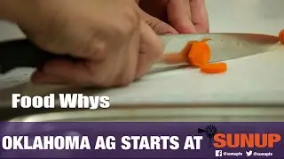 Food Whys - What are food defect action levels? (10/20/18)