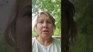От укусов насекомых  #жизньвсша