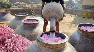 Primitive Way They Still Produce Fresh Rosewater in India