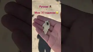 Вы занимаетесь похожими делами?😂