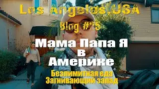 Бесплатные продукты в Америке/Как живут имигранты в США/Блог Америка🇺🇸/показываем Лос Анджелес