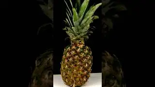 Jede Ananas verdaut DICH!