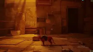 Stray pt 1