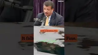 SHOCKING reasons fishes do not freeze 