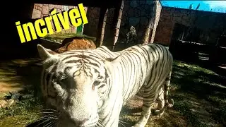 ZOOLÓGICO BETO CARRERO