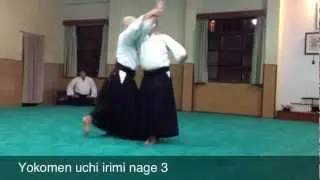 Yokomen Uchi Irimi Nage 3
