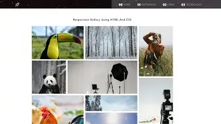 How To Make Image Gallery Using HTML And CSS | Create Photo  Gallery Step by Step