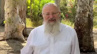 מעלת תפילת החיילים בשדה הקרב | הרב שמואל אליהו | הלכה יומית | ד' תשרי תשפ