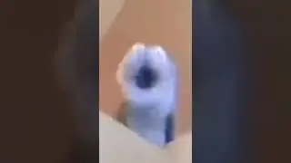 Ahhh Meme