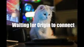 Waiting for Origin to connect