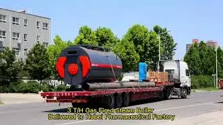 3 T/H Gas Fired Steam Boiler Delivered to Hubei Pharmaceutical Factory.