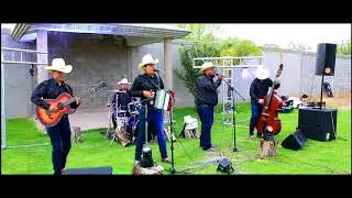 El arbol de la horca en vivo