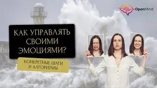 Что делать со своими эмоциями? Всё об эмоциональном интеллекте || Ирина Страчкова