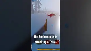 ROBLOX DA | Fighting Suchomimus Over Food With Dimetrodon!