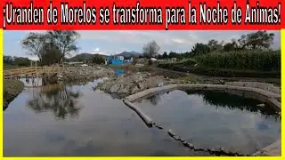 ASÍ SE PREPARAN LOS ISLEÑOS EN URANDEN DE MORELOS - NOCHE DE ÁNIMAS EN MICHOACAN