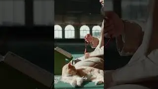 Nohaq g'iybat qilish