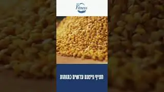 חטיפי פיטנס - חטיף פיטנס עם עדשים כתומות או חטיף חומוס