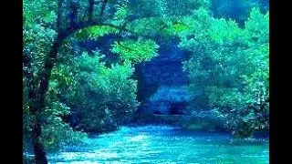 Meditate, Relax & Sleep with  Water  & Birds chirping Sound in Canada - JPA Learning Hub.
