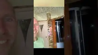Жаба с алиэкспрес для мыльных пузерей