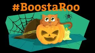 Boostaroo Challenge