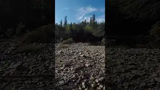 #тайга #4x4 #offroad #газ66 #рекомендации  Вот тебе и брод ХЫ