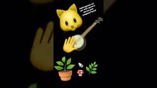 Кот играет на гитаре