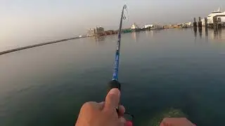 Fishing#002 | Morning Fishing | Trevally + Barracuda | Shinas Port #oman