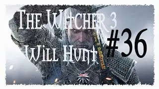 🔴 The Witcher 3 Wild Hunt ПРОХОЖДЕНИЕ #36 ТРУС  🎮