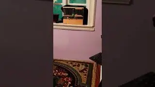 Плановый кенар