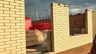 Маркинский кирпич, кладка дома