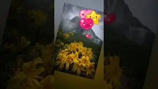 Чудеса в горах 🗻