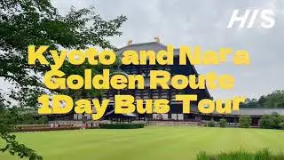 Kyoto and Nara Golden Route 1Day Bus Tour From Osaka or Kyoto