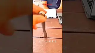 ⚡☢️ | Группировка Ученые | S. T. A. L. K. E. R | Короткий клип | 