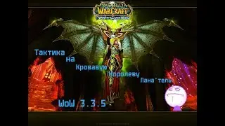 Тактика на Кровавую Королеву Лана'тель WoW 3.3.5
