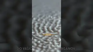 Je čas ilúzia? Fyzika a vedomie času. Ako vzniká?