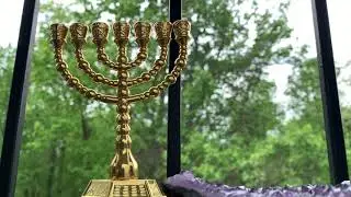 The Beauty of Chaakamah (wisdom)