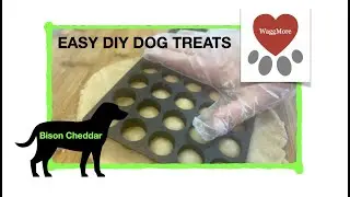 Homemade DIY Dog Treats at home Bison Cheddar