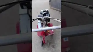 25 сентября 2024 г.