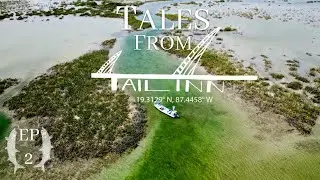 13 Missed Tarpon because…. Dan | Episode 2 Tales from Tail Inn | Fly Fishing For Bonefish and Tarpon